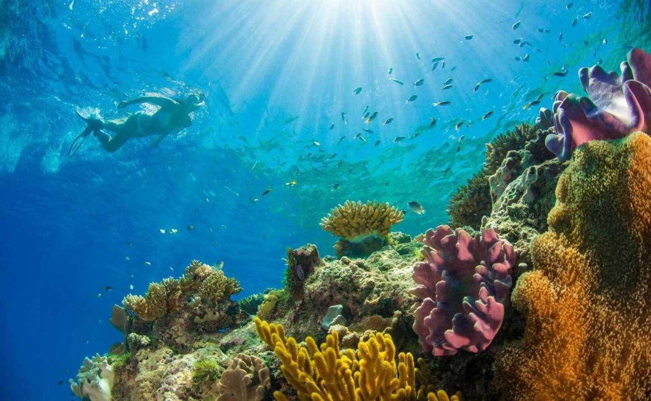 مبيت وإفطار شاطئ دياني Upani In Diani المظهر الخارجي الصورة