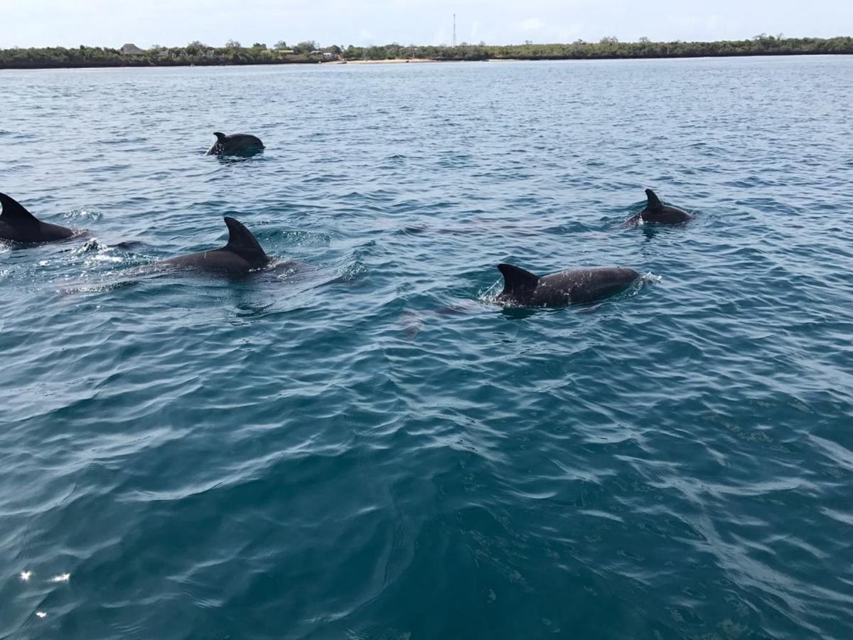 مبيت وإفطار شاطئ دياني Upani In Diani المظهر الخارجي الصورة